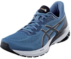 GT-1000 12 von Asics